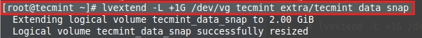 Extend LVM Snapshot