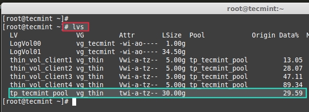 Verify Thin Storage