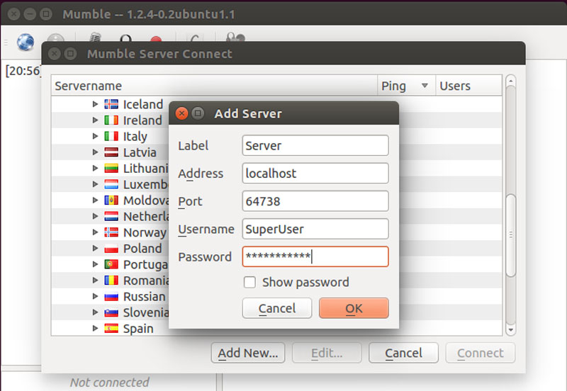 mumble add server