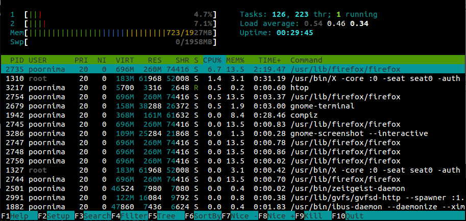 htop output