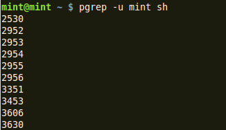 output of pgrep