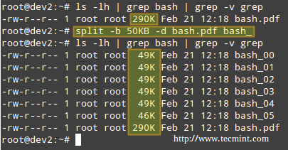 Split Files in Linux