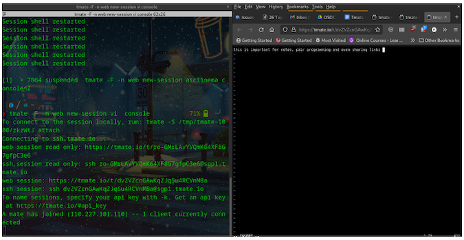 A screenshot of the terminal showing the output after using the new-session and -F options: connection information for either a web session (regular or read-only) or ssh session (regular or read-only)