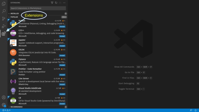 访问 VSCode 中的扩展选项卡