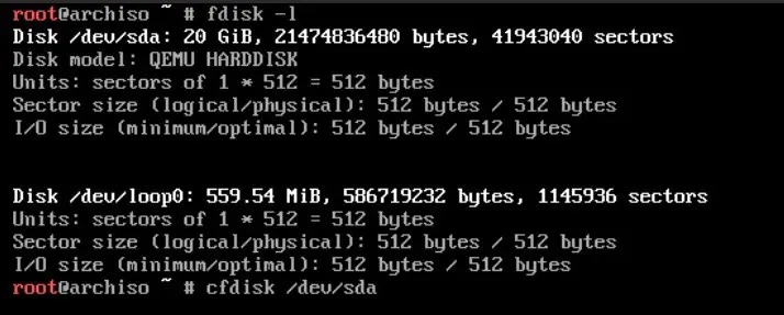 之前的 fdisk -l