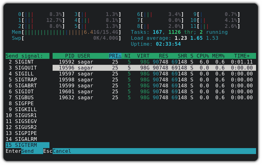 在 htop 中杀死进程