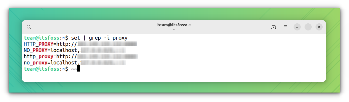 Using set command to check Proxy variables